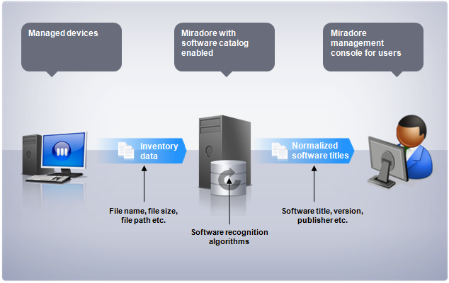 Software recognition with software catalog